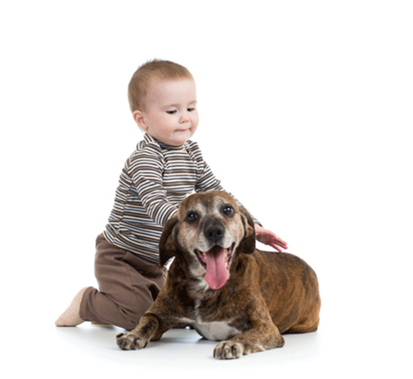 Dogs Are Good For You | Kids With Dogs Have Less Asthma ...
